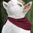 User's avatar