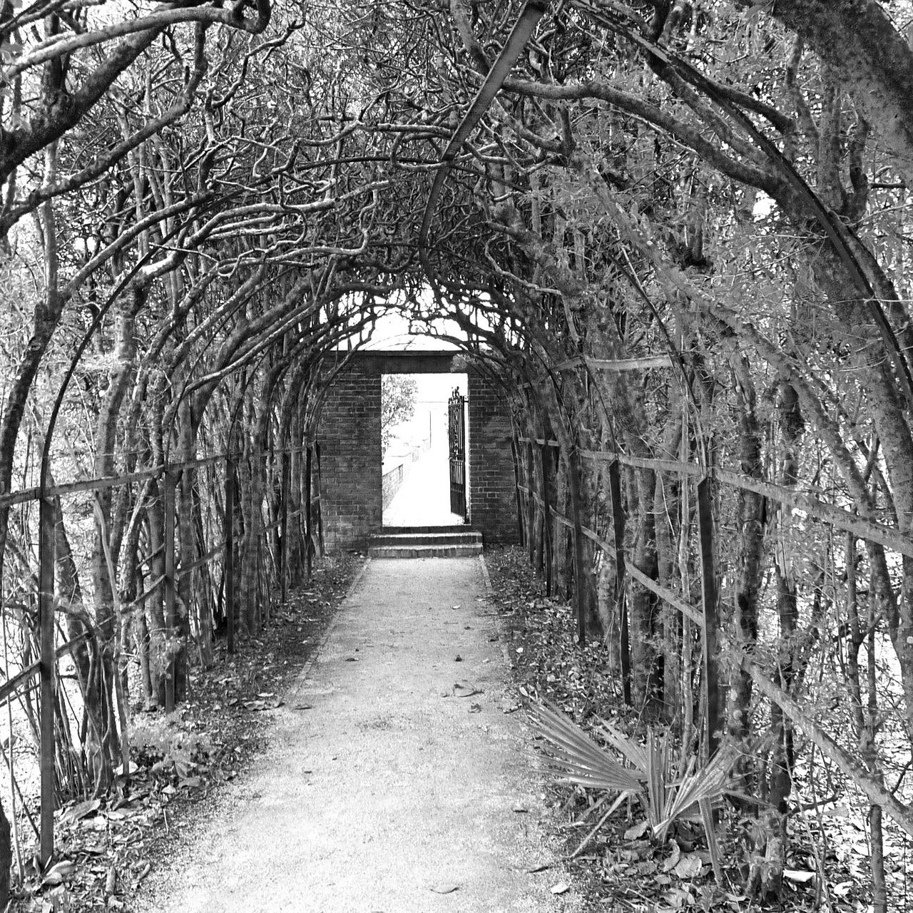 Write Through It:The Writing for Healing Project