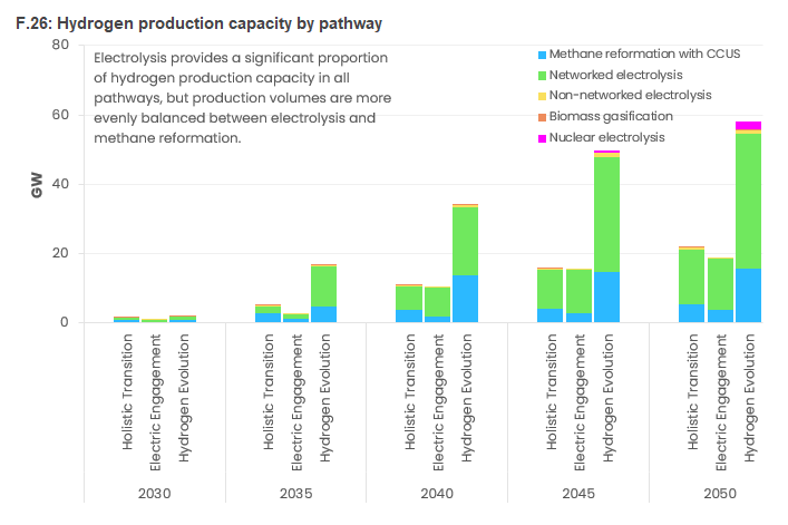 Figure 6 - FES 2025 Installed Hydrogen Production Capacity
