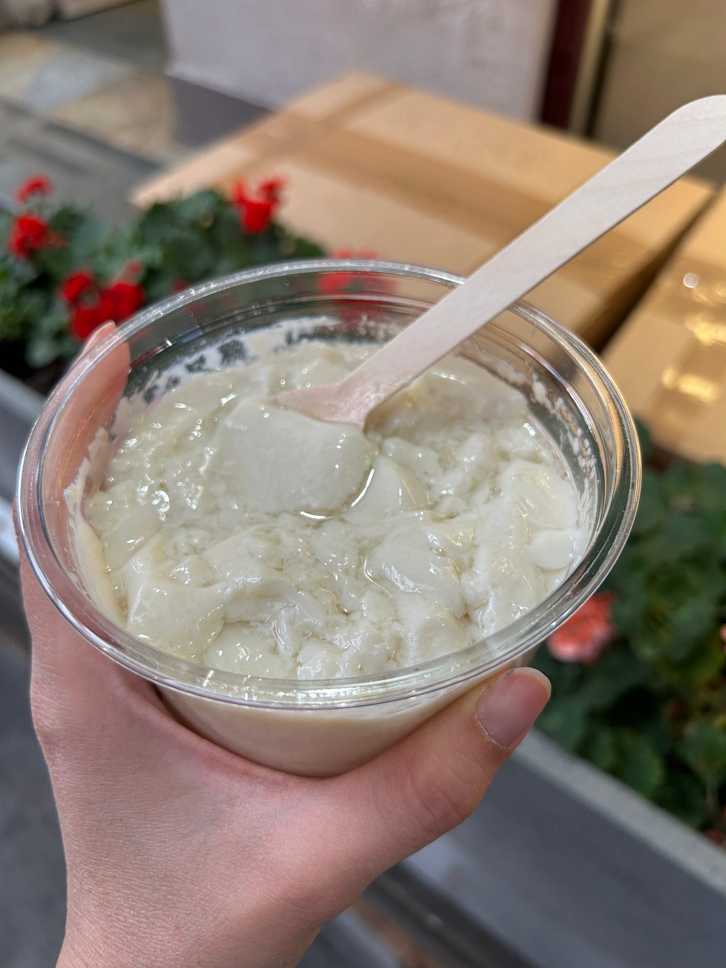 A hand is holding a cup of tofu soup with a wooden spoon in it.