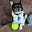 Cheryl R.'s avatar