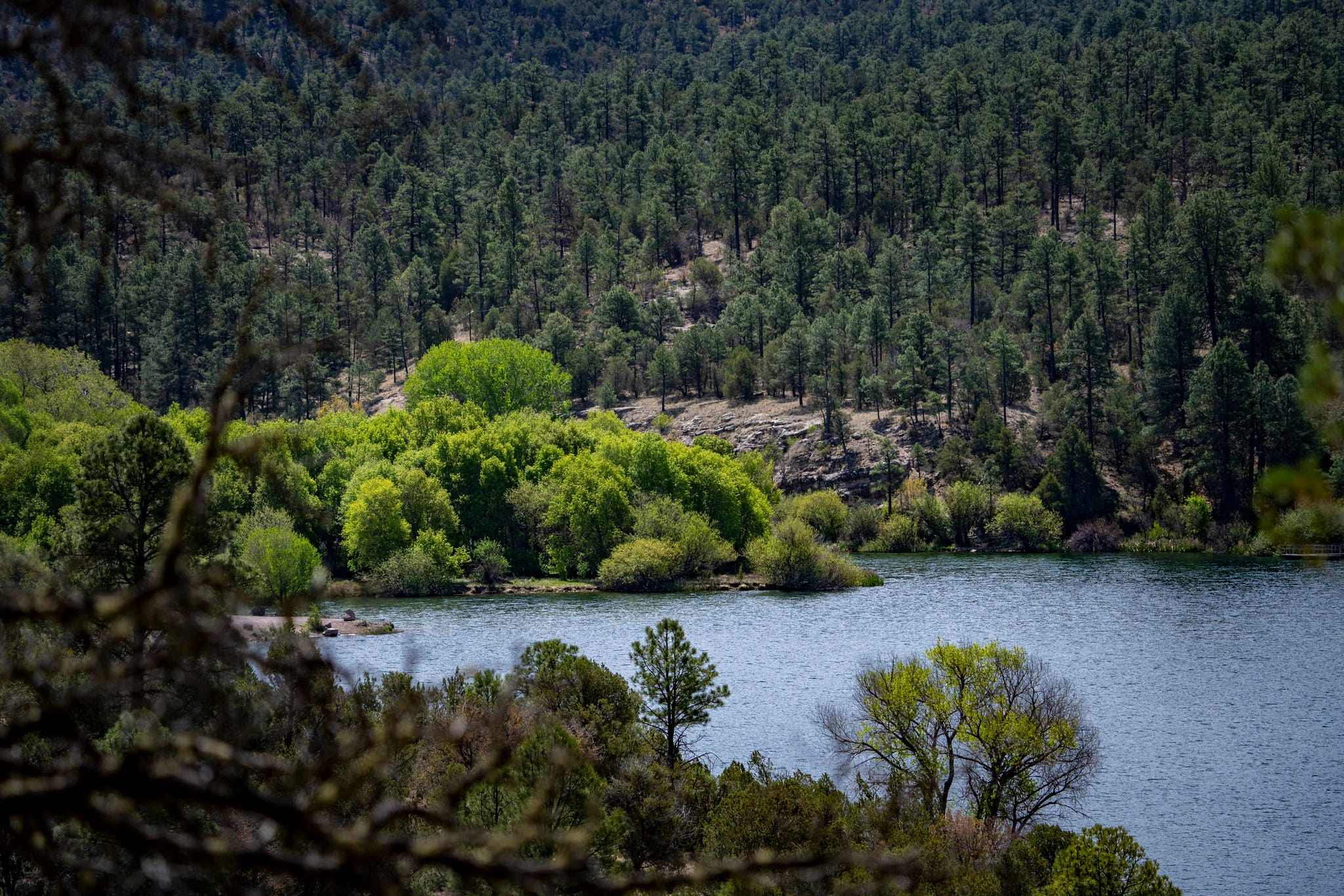 A Day to Celebrate Wilderness