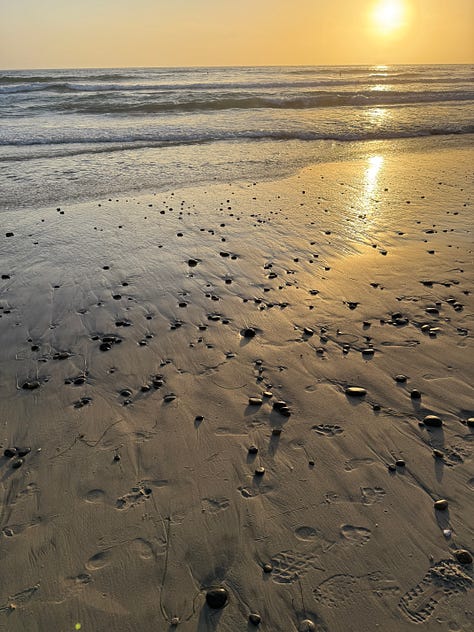 Two photographs of the Pacific Ocean at sunset, plus one of Trixie looking back along the cliff-lined beach