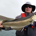 Ireland on the Fly
