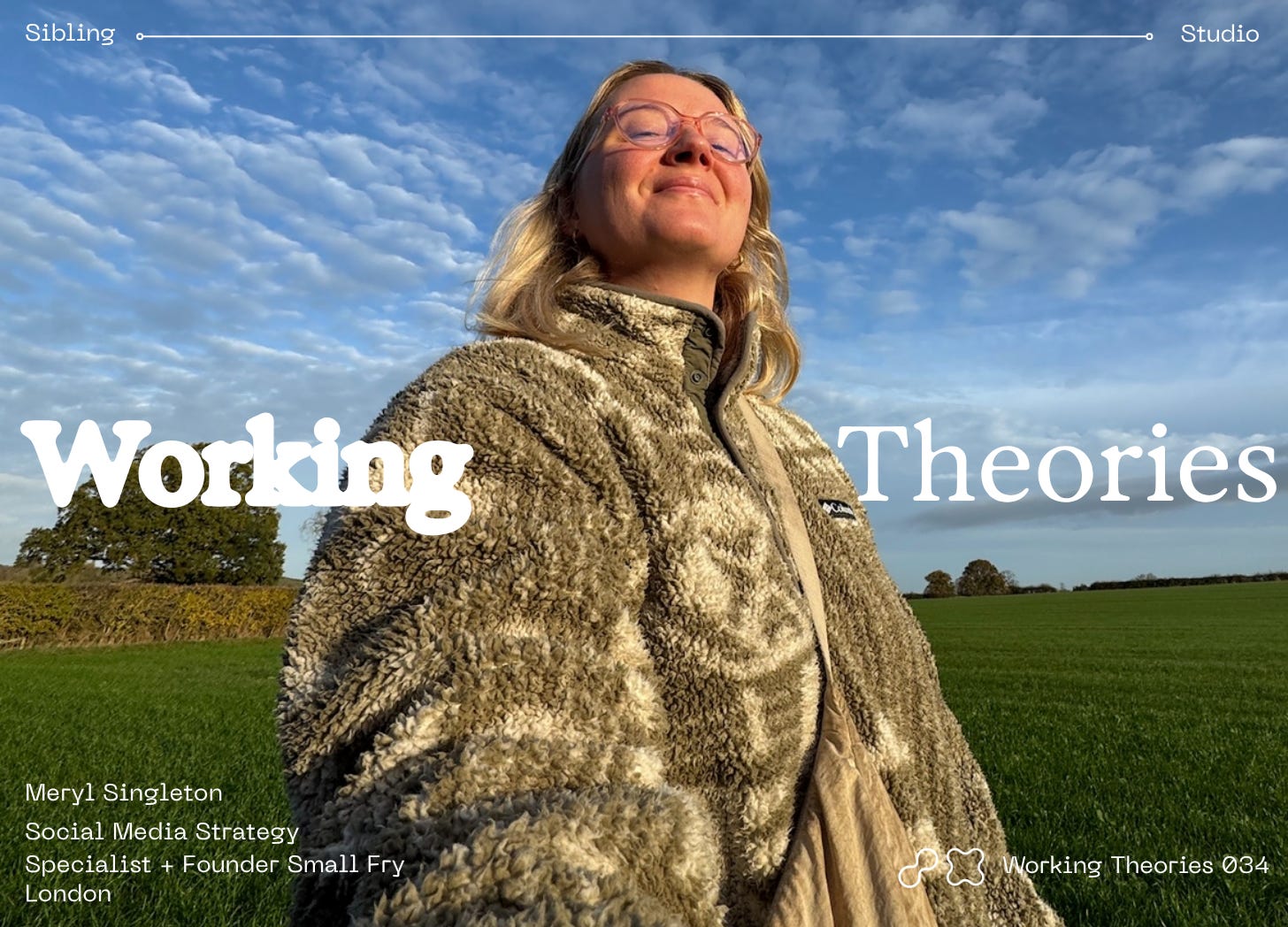 Working Theories with Meryl Singleton