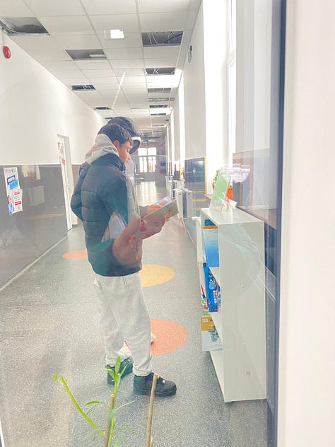 Biblioteca mobilă la Cornești