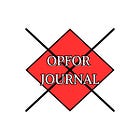 Progress Report and Thinking About The Future