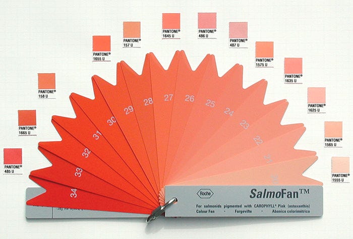 NNN / Dyeing Salmon Pink for Farms and Profit