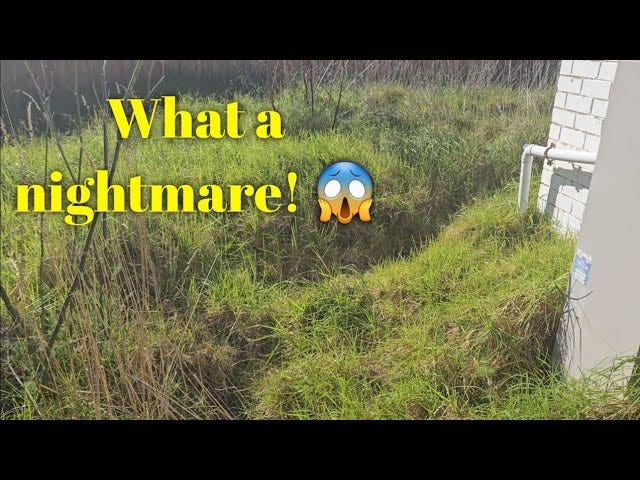 The most OVERGROWN backyard I've EVER done - 5 videos in 1! - YouTube