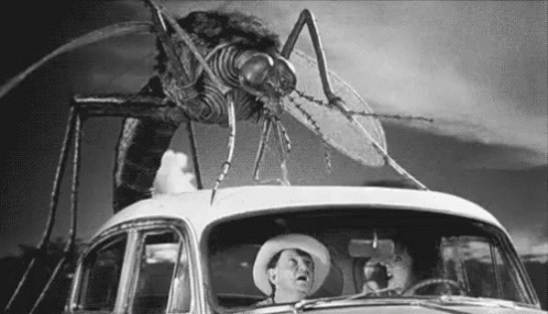 Mosquito Giant GIF - Mosquito Giant GIFs Mosquito Giant GIF - Mosquito Giant GIFs