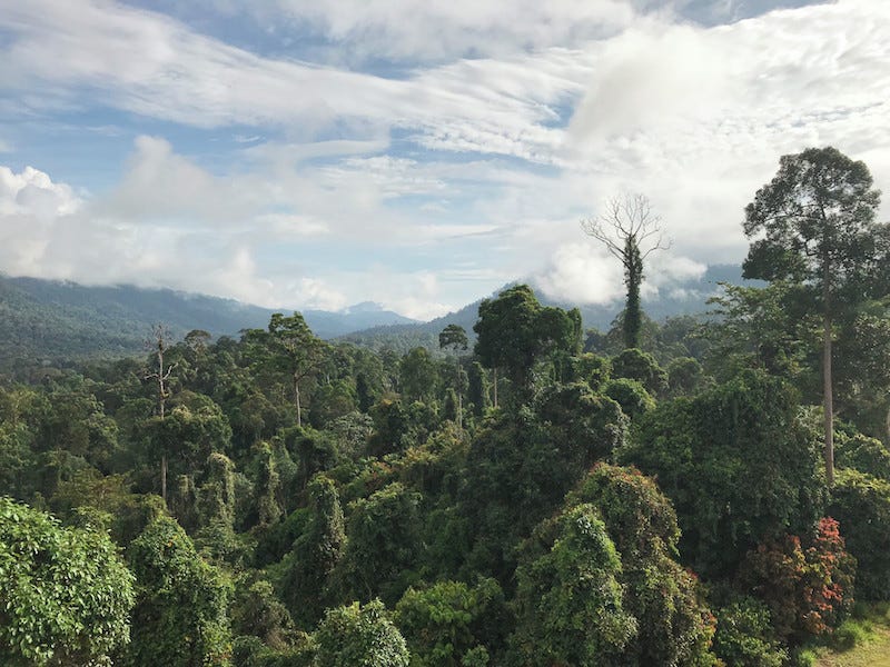 Maliau Basin Borneo