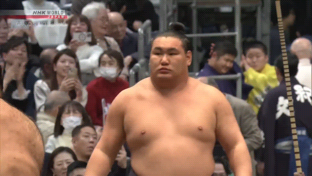 【12/7以降の発送】SUMO STOMP SUMO PRE VER.2 SUMO STOMP by Inner Bamboo SUMO PRE ver.2｜ミュージックランドKEY