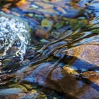 Homo Vitruvius by A. Jay Adler