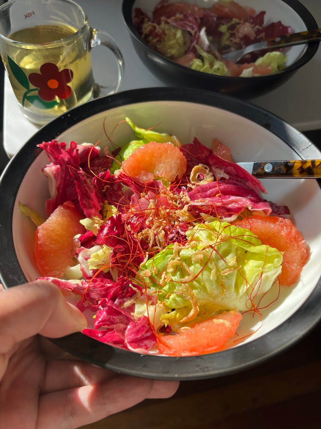 Hand holding grapefuit salad