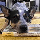The top Frans de Waal books for dog owners to read
