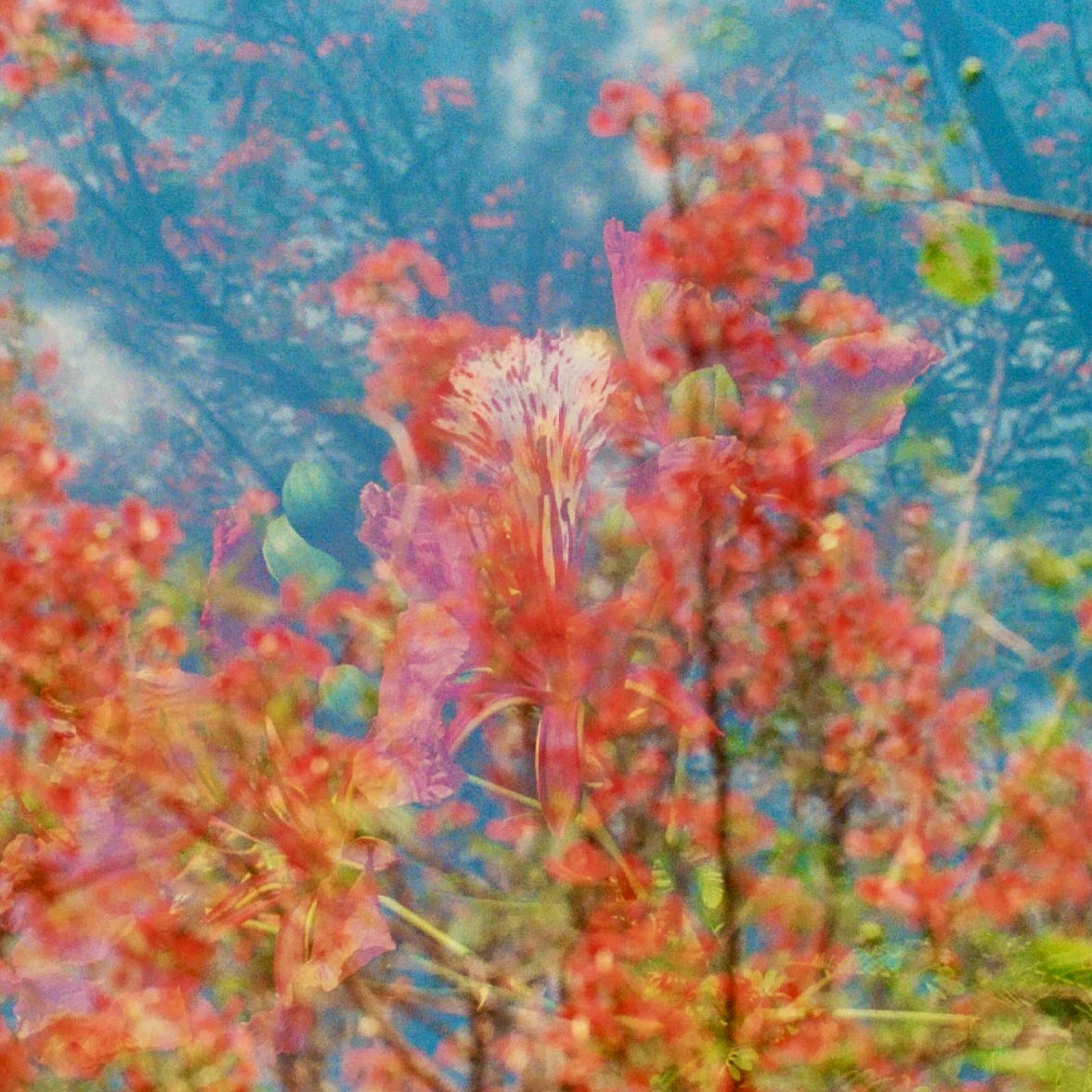 Poems from my notes app