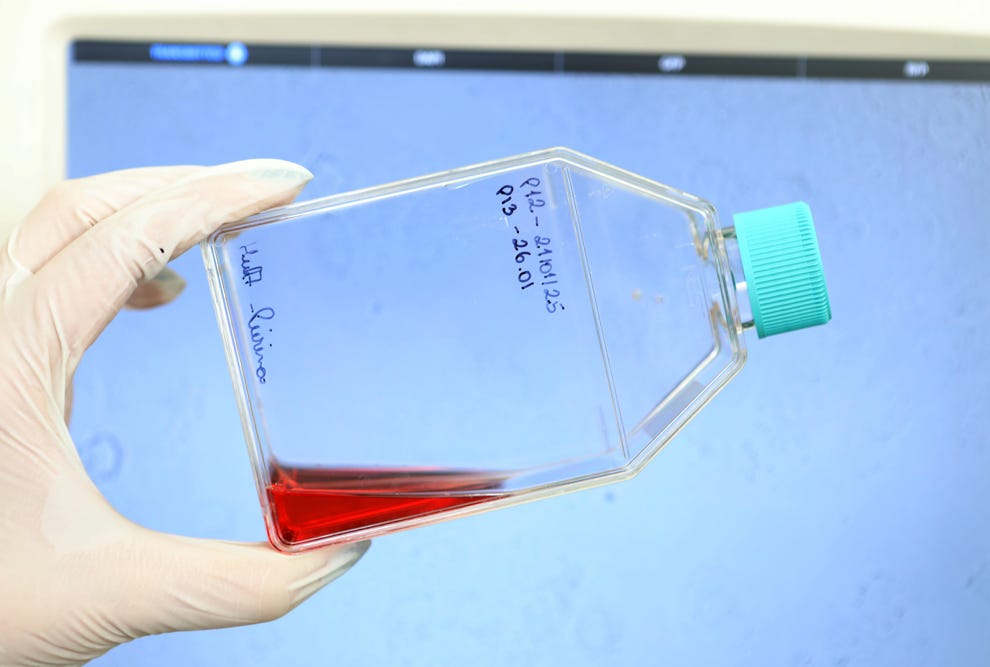 Estudos soroepidemiológicos contínuos são fundamentais para compreender o impacto das doenças arbovirais na população