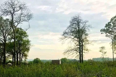 Images of Bore Place in Kent Uk. Woods, people meditating and a stock image of vegetables with a soup