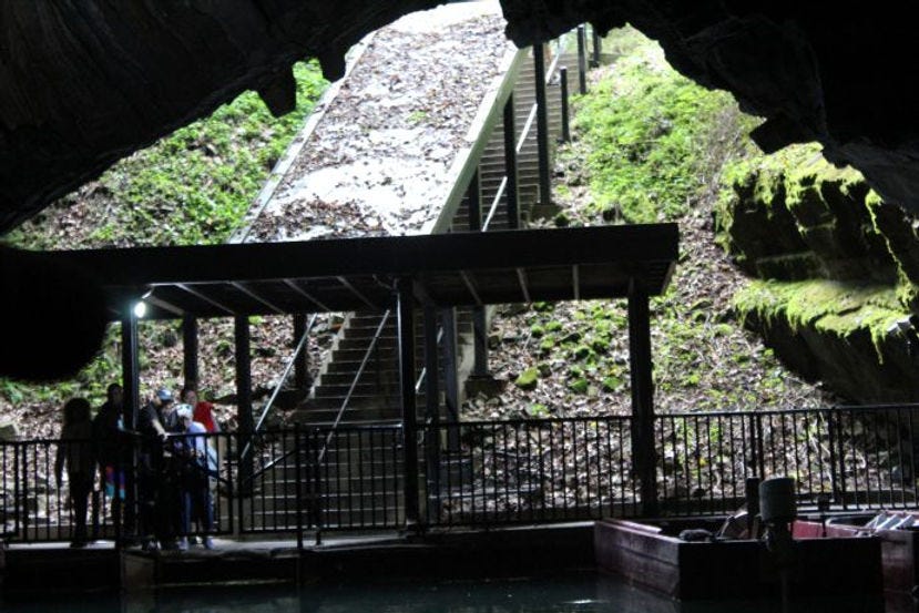 Stairs into Penn's Cave