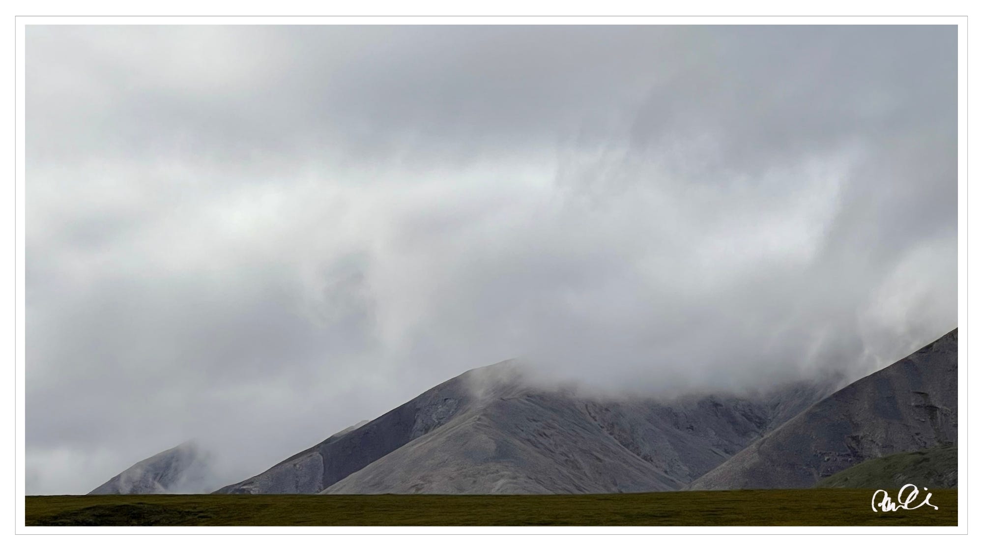 Fog, tundra, inside Arctic Circle, Alaska