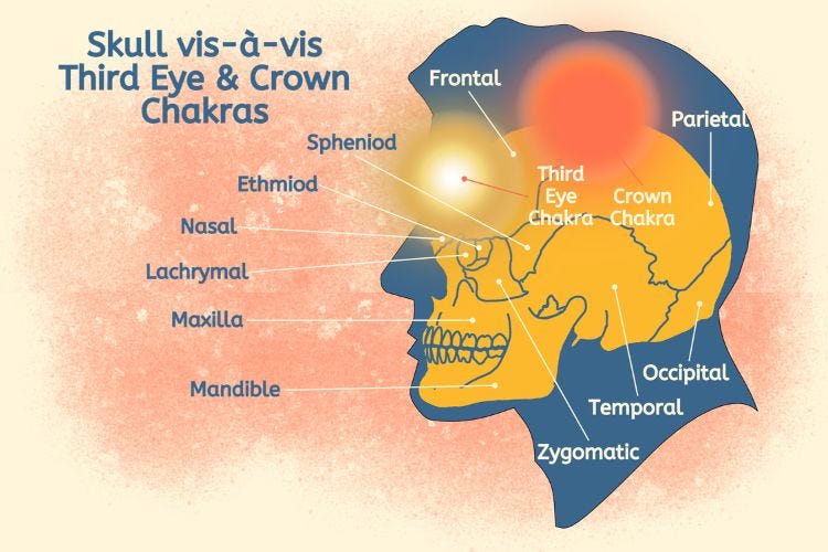 Skull vis-à-vis Third Eye and Crown Chakras Skull vis-à-vis Third Eye and Crown Chakras