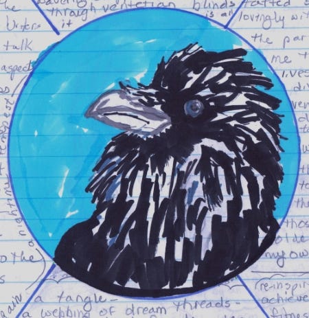 A picture taken from a composition journal depicting unsorted thoughts and a raven in profile.