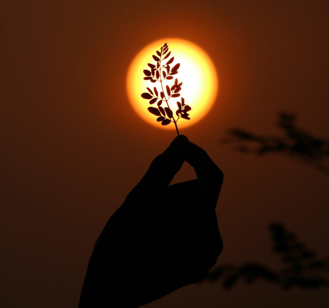 silhouette of person holding sun silhouette of person holding sun