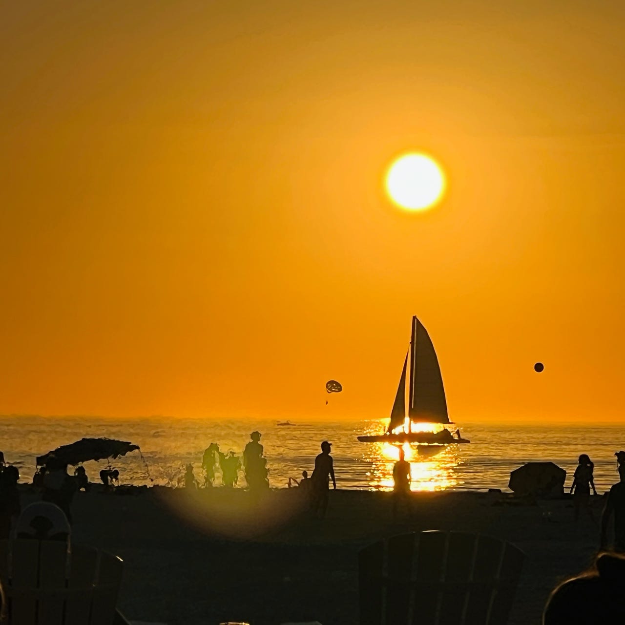 ColTowner’s Newsletter