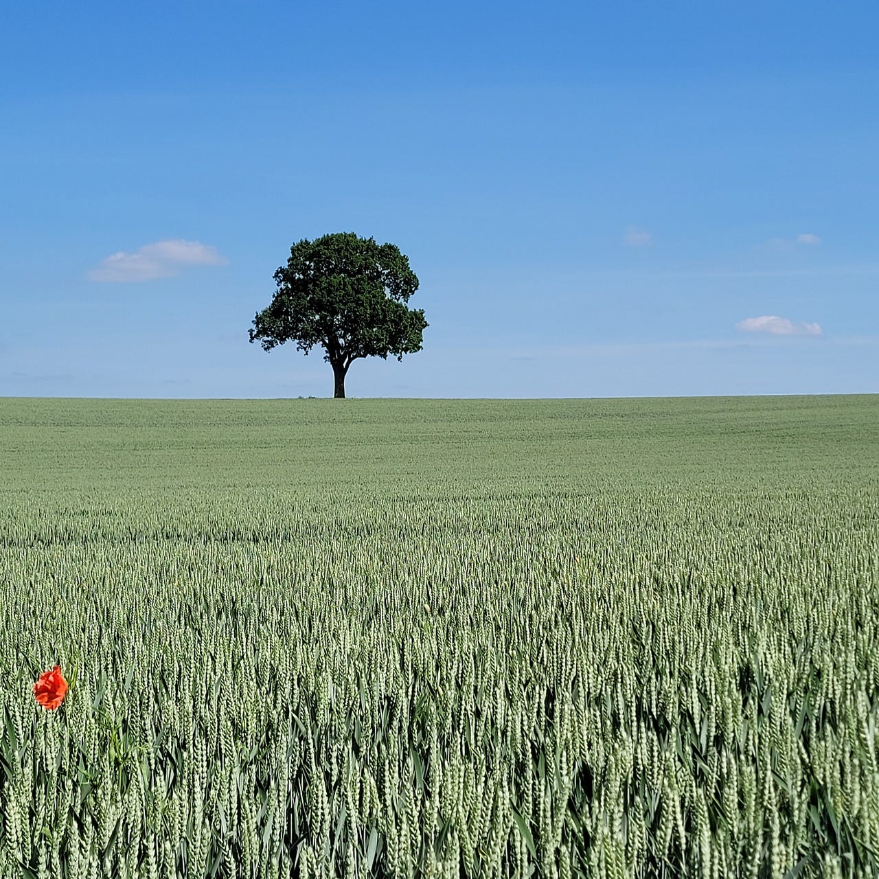 hugh venables poetry