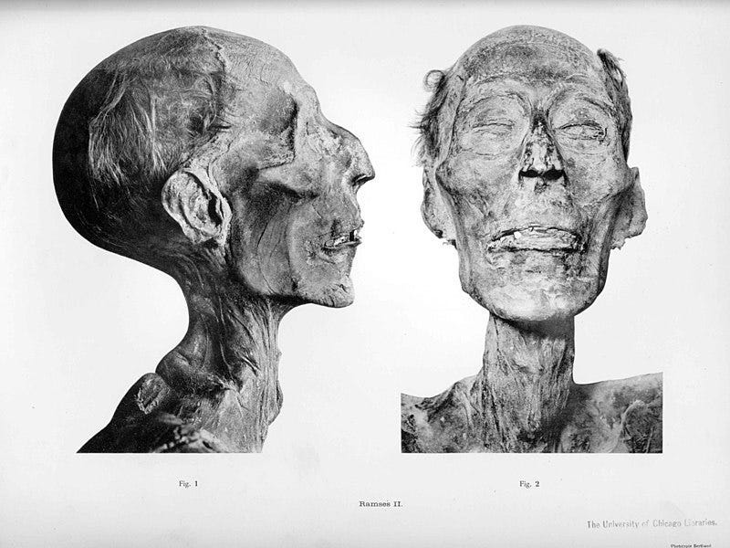 The Curious Case of Egypt's Cocaine Mummies