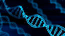 Genetic Strands with DNA