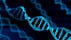 Genetic Strands with DNA