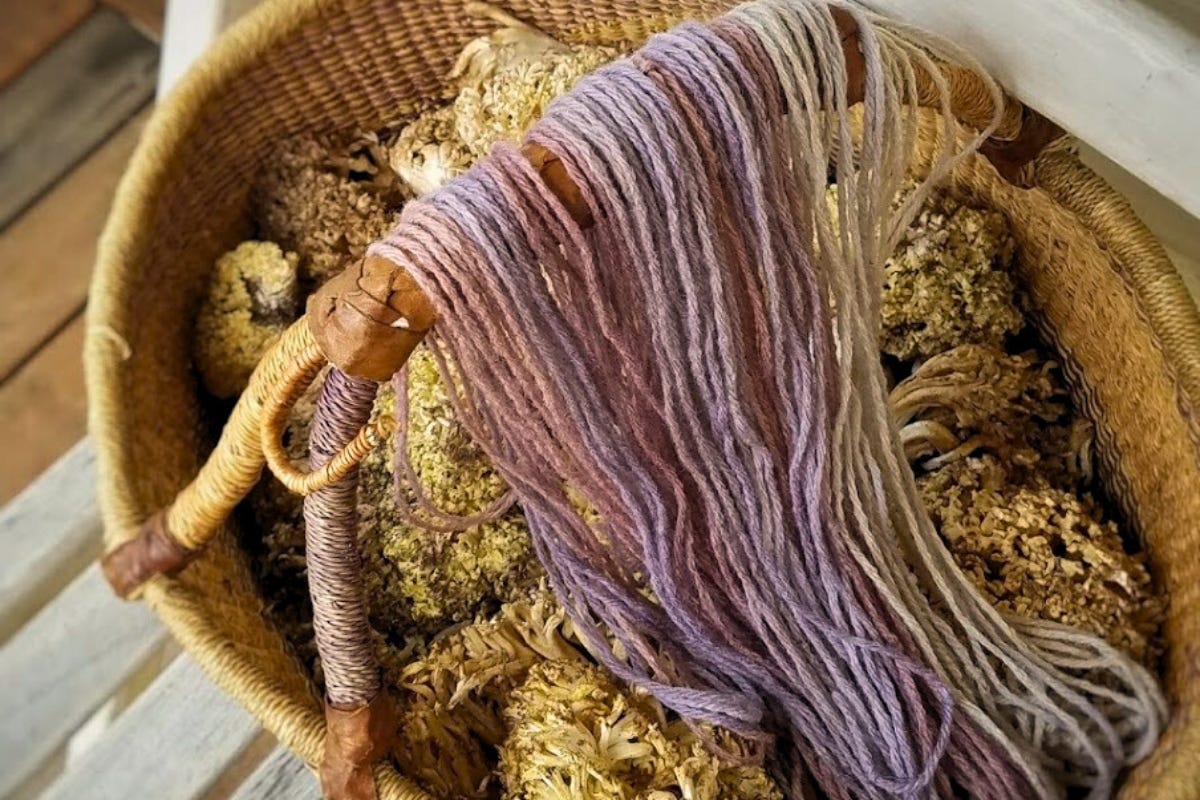 close-up of a woven basket with some dyed yarn draped over the handle and plant matter inside.