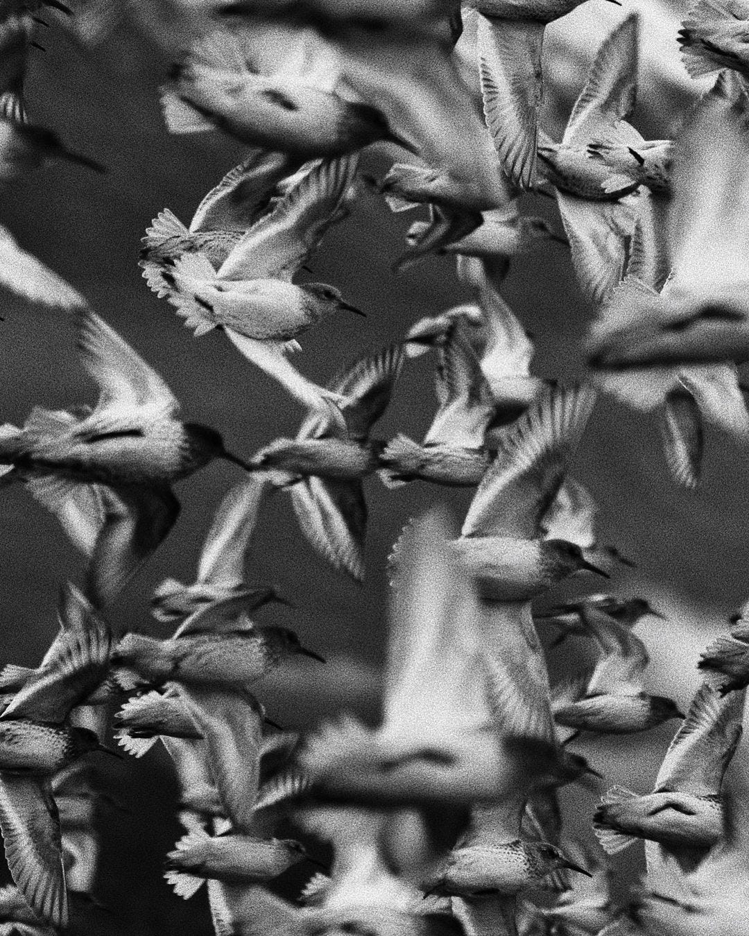 An Instagram carousel post added by luca on May 19, 2022. The author is @nowness.