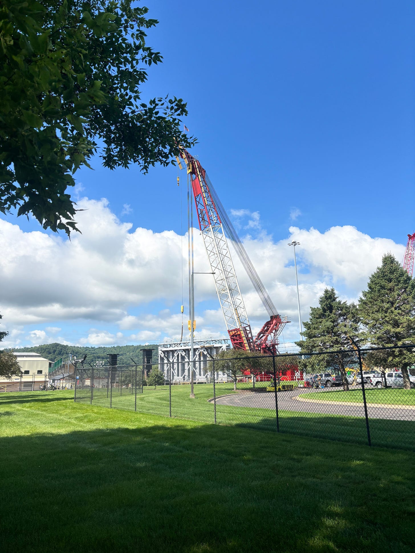 Not the kind of crane I was hoping to see on this trip