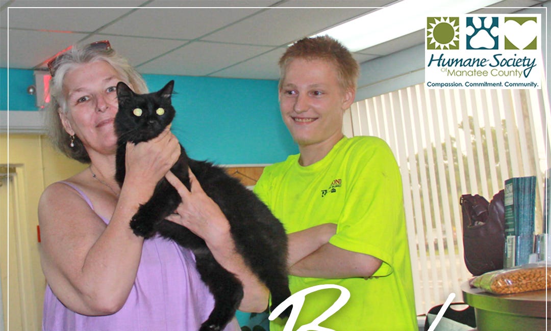 Lost Cat Reunited with Family After Two Years Thanks to Microchip and Humane Society of Manatee County