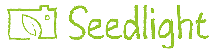 btf-85-seedlight-logo