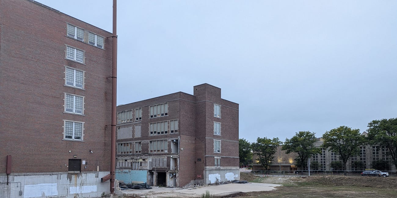 Can Madison "see the cat"?