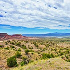NEW MEXICO