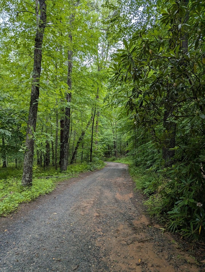 gravel road through Virginia woods gravel road through Virginia woods