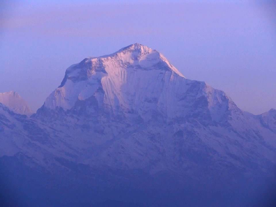 a tall snow-covered mountain towers over a dark blue valley. morning purples and pinks from the sunrise color everything