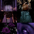 A Dream of Velvet Roses