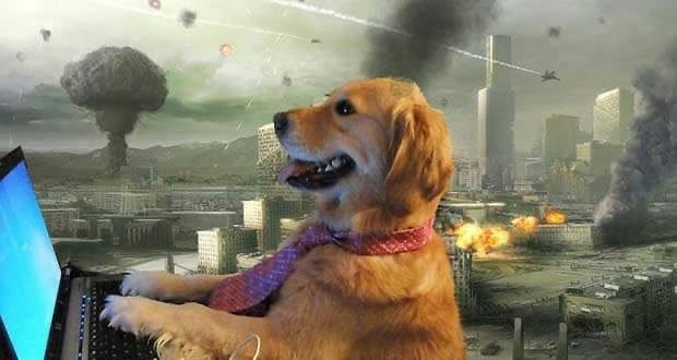 dog typing in apocalypse Meme Generator - Imgflip