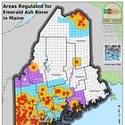 Maine’s Emerald Ash Borer Quarantine Has Been Expanded Throughout Hancock County.