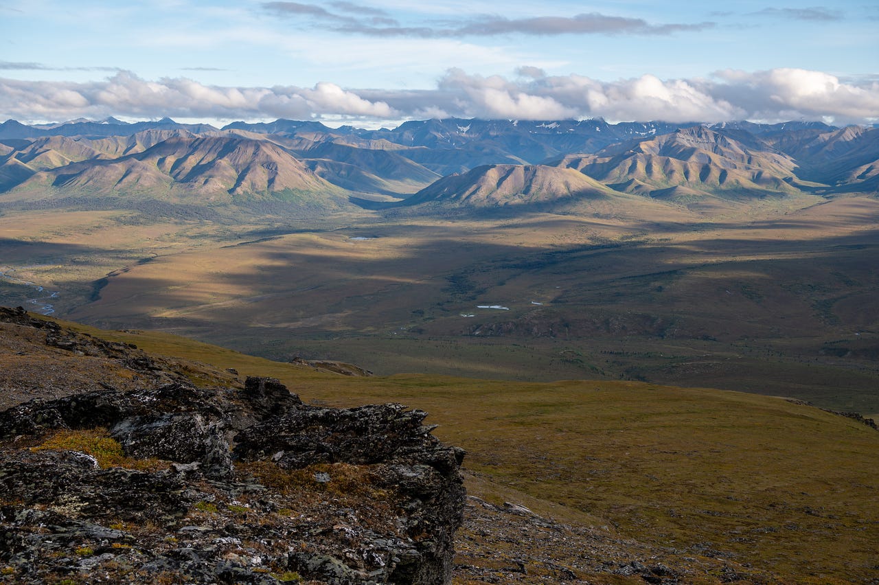 Evening On Mt. Margaret
