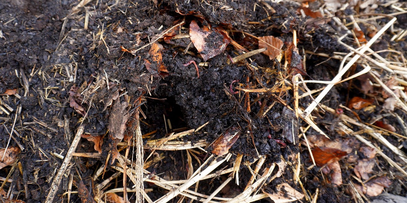 Should Regenerative and Organic be Joined at the Hip?