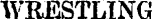 Imageserver_pl_medium