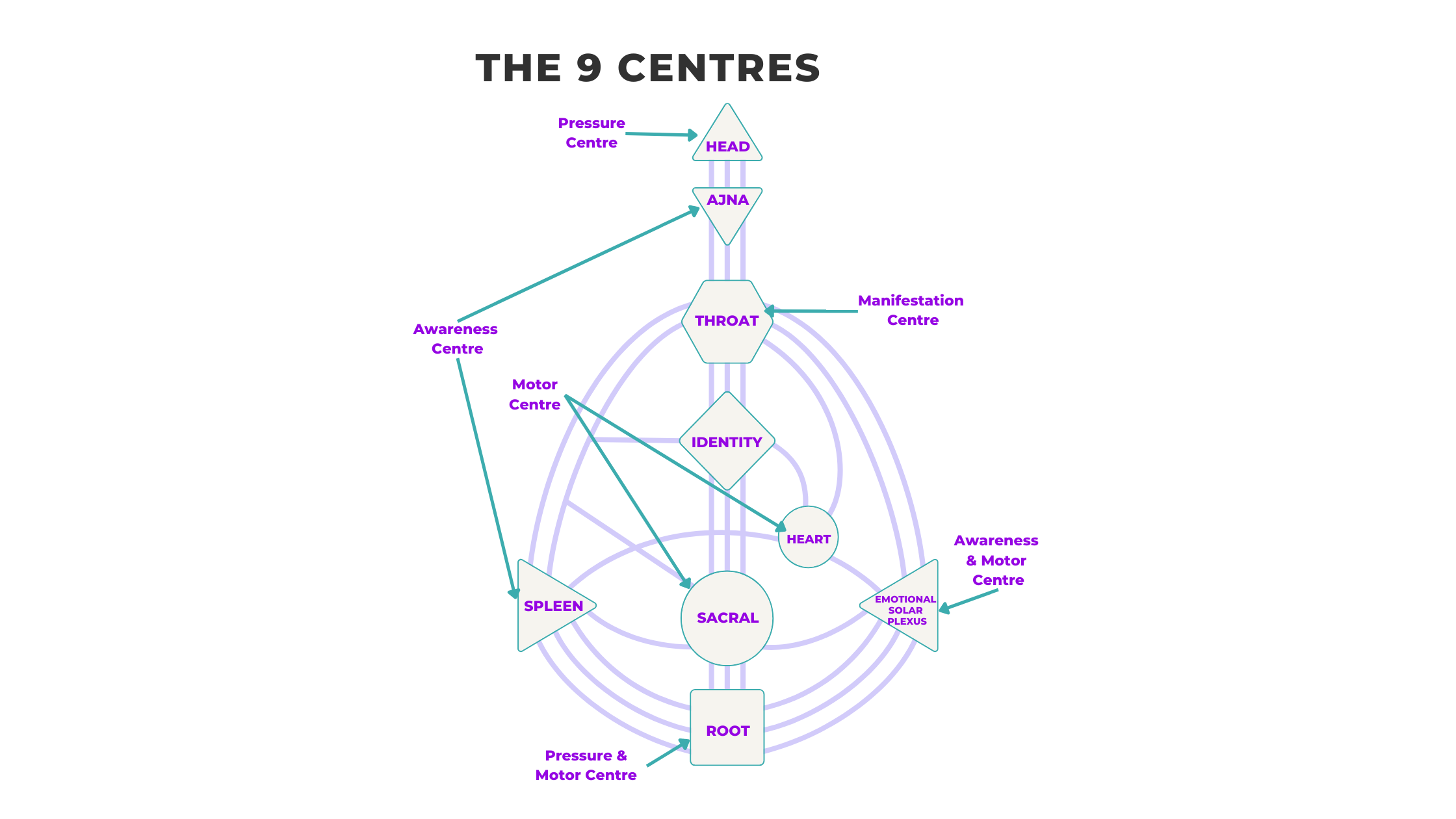 13 essential human design words and what they mean for your brand