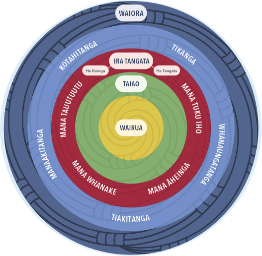 A diagram of different colors and sizes

AI-generated content may be incorrect.
