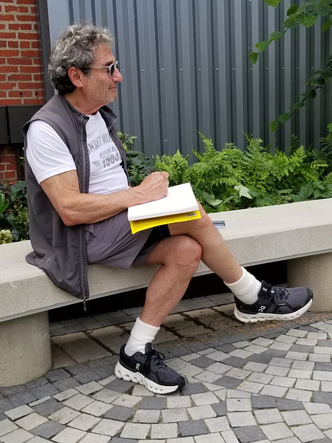 People sketching in an urban courtyard surrounded by flowers and other plants in beds.